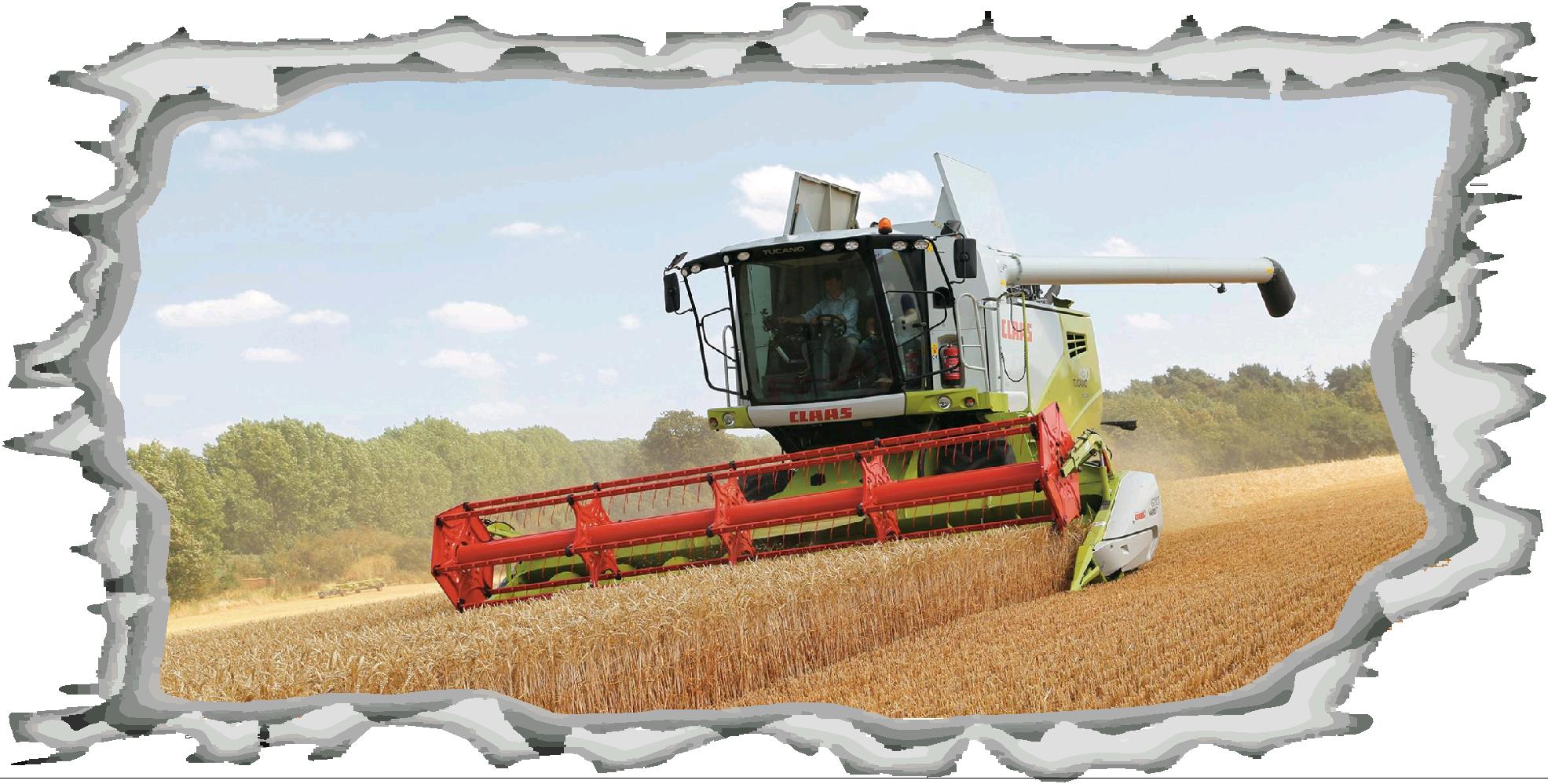 Claas Combine Wall Art 