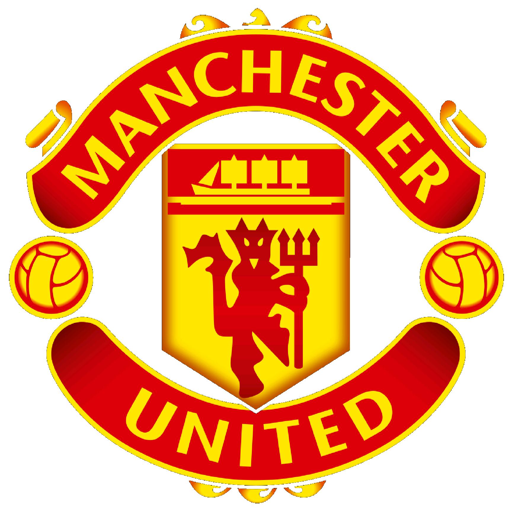 Manchester United Wall Art Logo